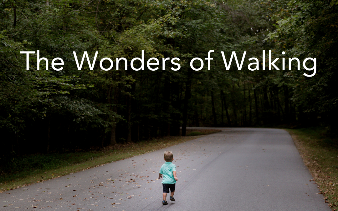 The Wonders of Walking