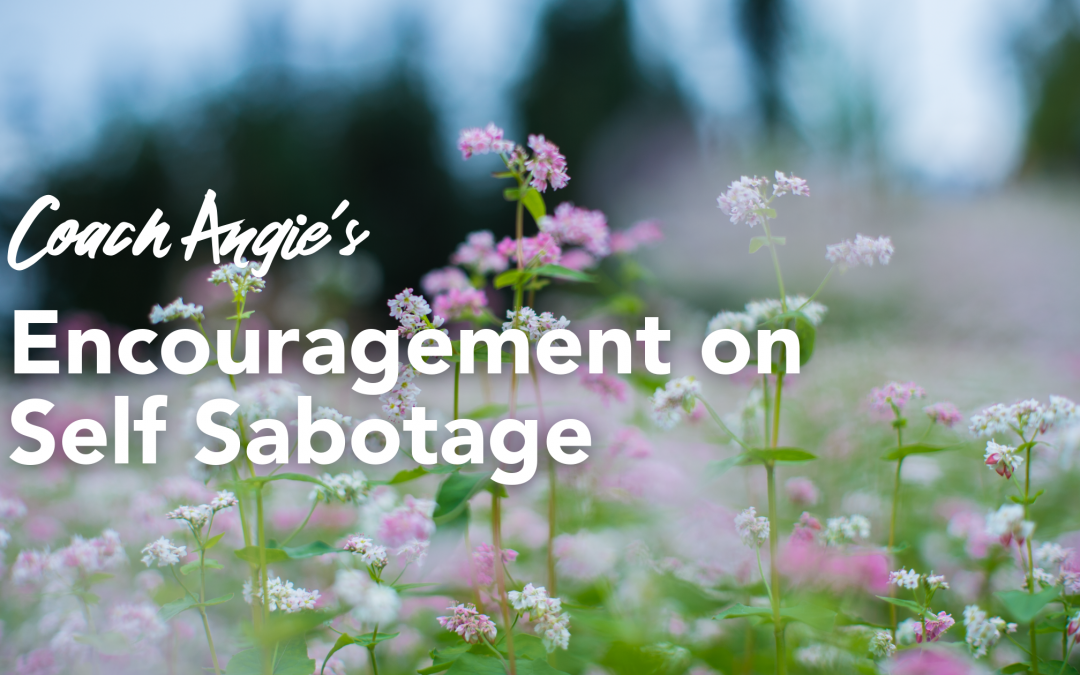 Coach Angie’s Encouragement on Self Sabotage