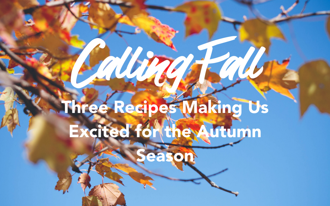 Calling Fall- Three Recipes Making Us Excited for the Autumn Season