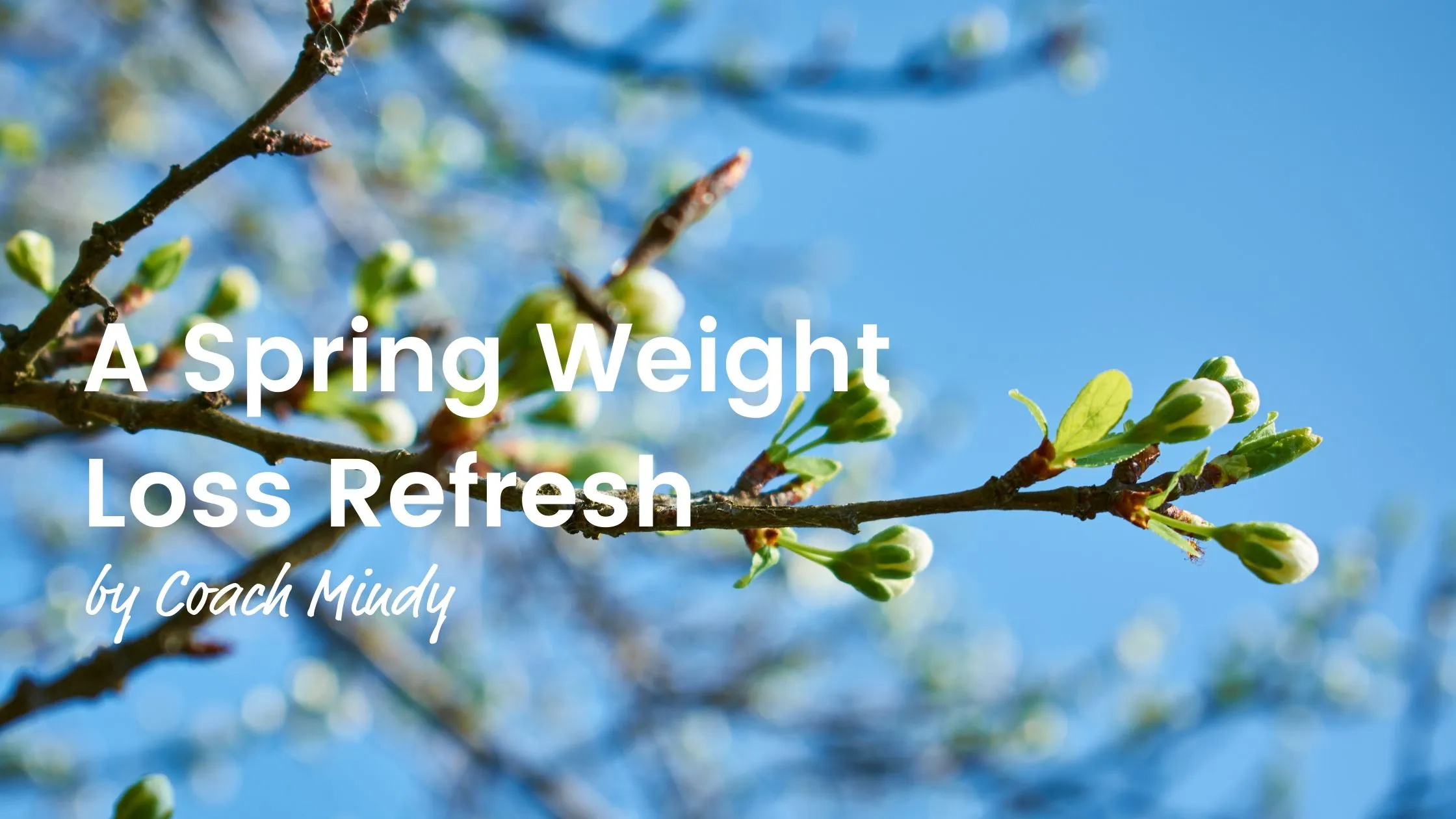 weightloss refresh