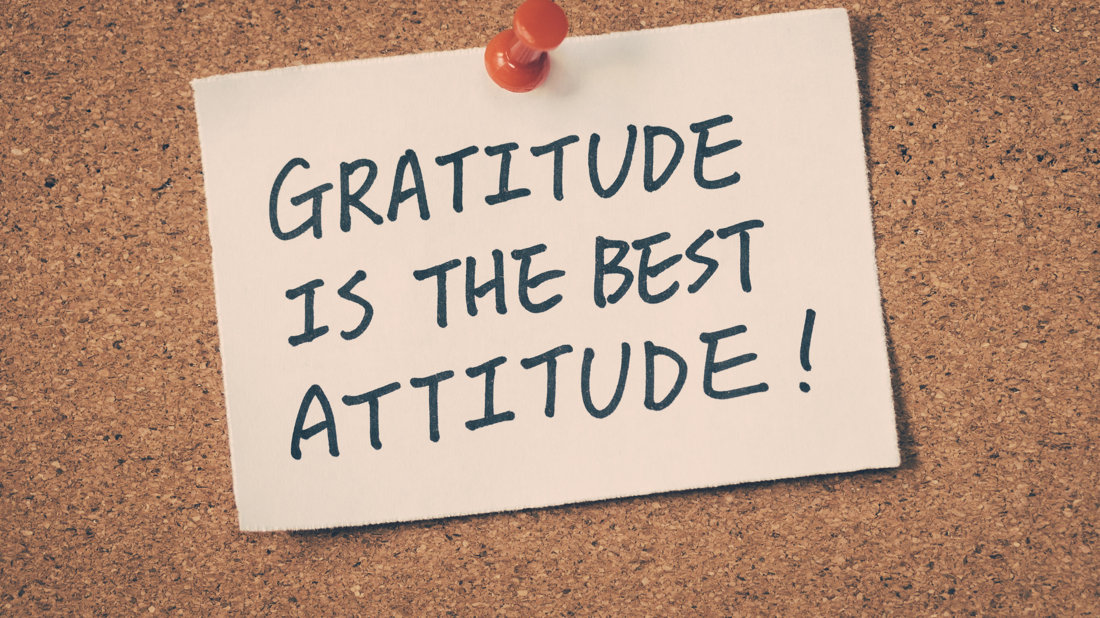 An-Attitude-of-Gratitude